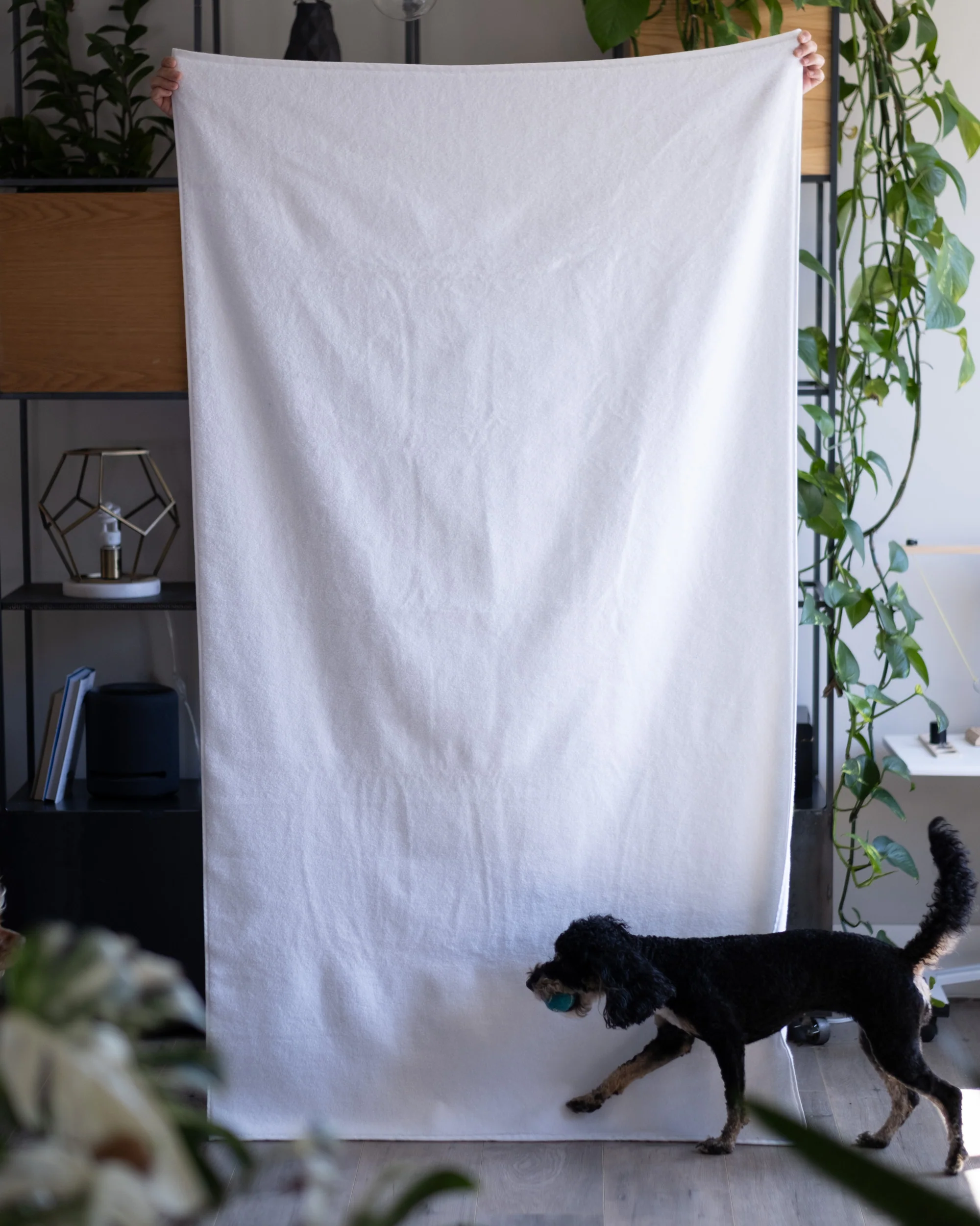 Luxe Bath Towels in White - Image 3