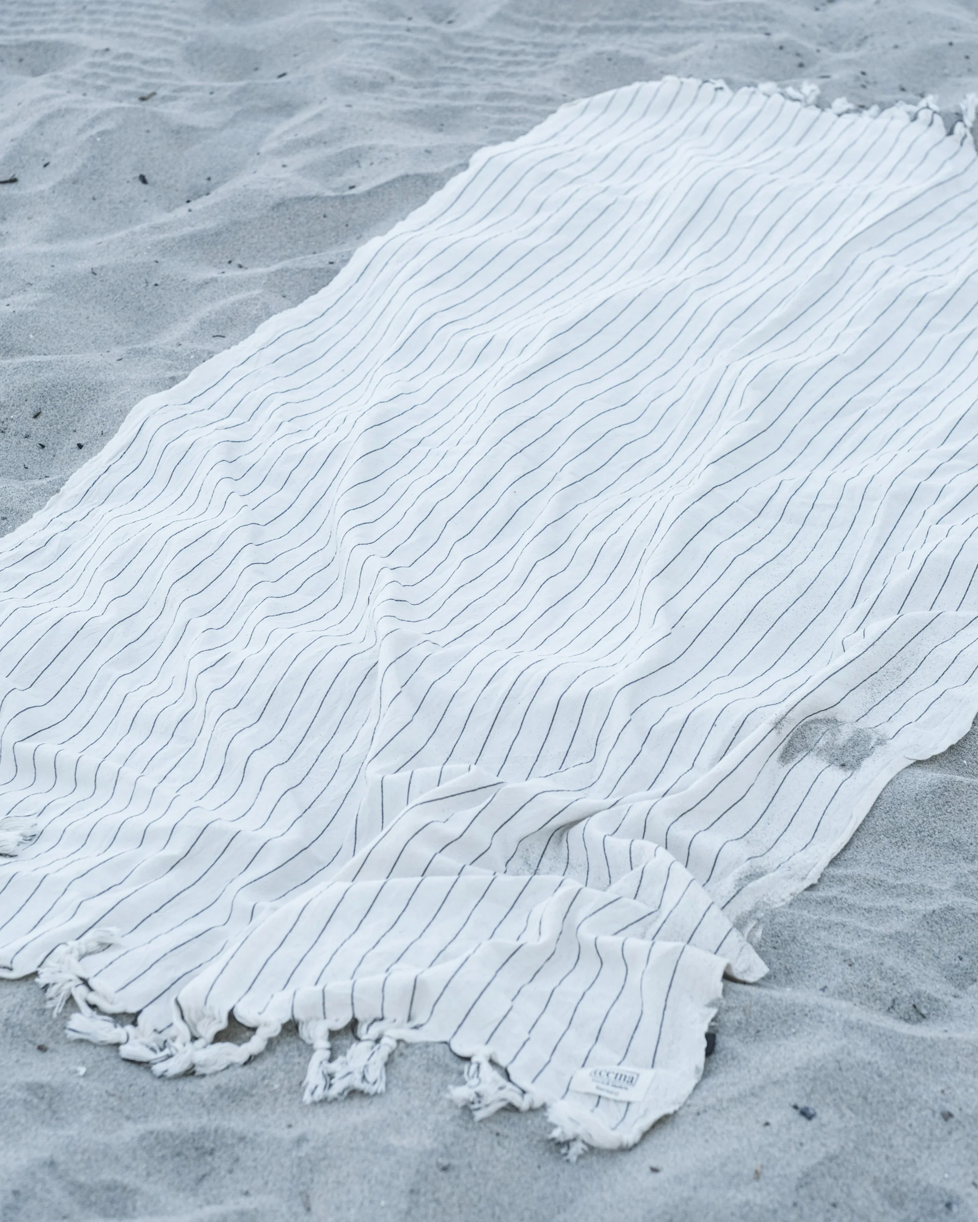 The White Newport - Image 3